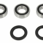 Kit cuscinetti ruota posteriore BWX - Suzuki RM 125-250 2000-2012