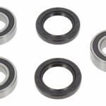 Kit cuscinetti ruota posteriore BWX - Sherco 125-450 SE/SEF/SE i 2004-2023
