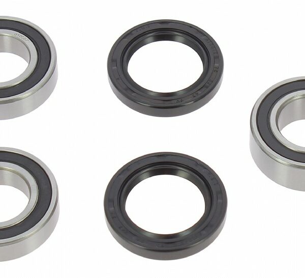 Kit cuscinetti ruota posteriore BWX - Sherco 125-450 SE/SEF/SE i 2004-2023