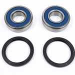 Kit cuscinetti ruota posteriore BWX - TM EN 125-450 FI 2005-2011