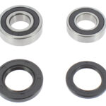 Kit cuscinetti ruota posteriore BWX - WR 250-450 F, YZ 125-450 F - Fantic 125-250 1999-2024