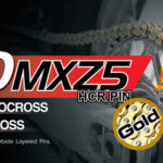 Catena RK 520 MXZ5 ORO