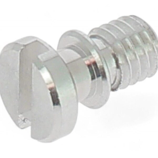 Vite Spurgo Aria Forcella SHOWA Honda Kawasaki - O-RING